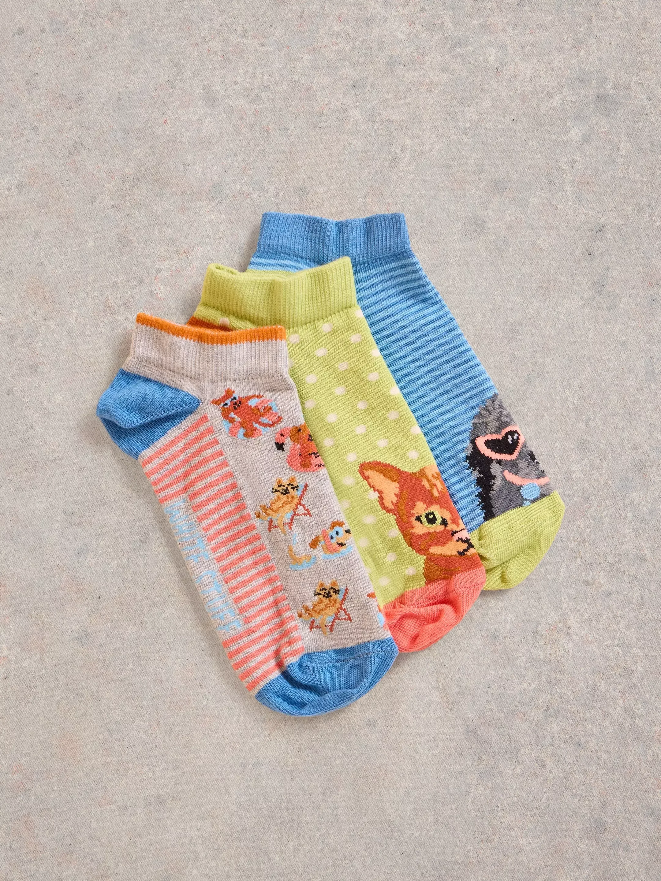 3 Pack Pet Pals Trainer Socks