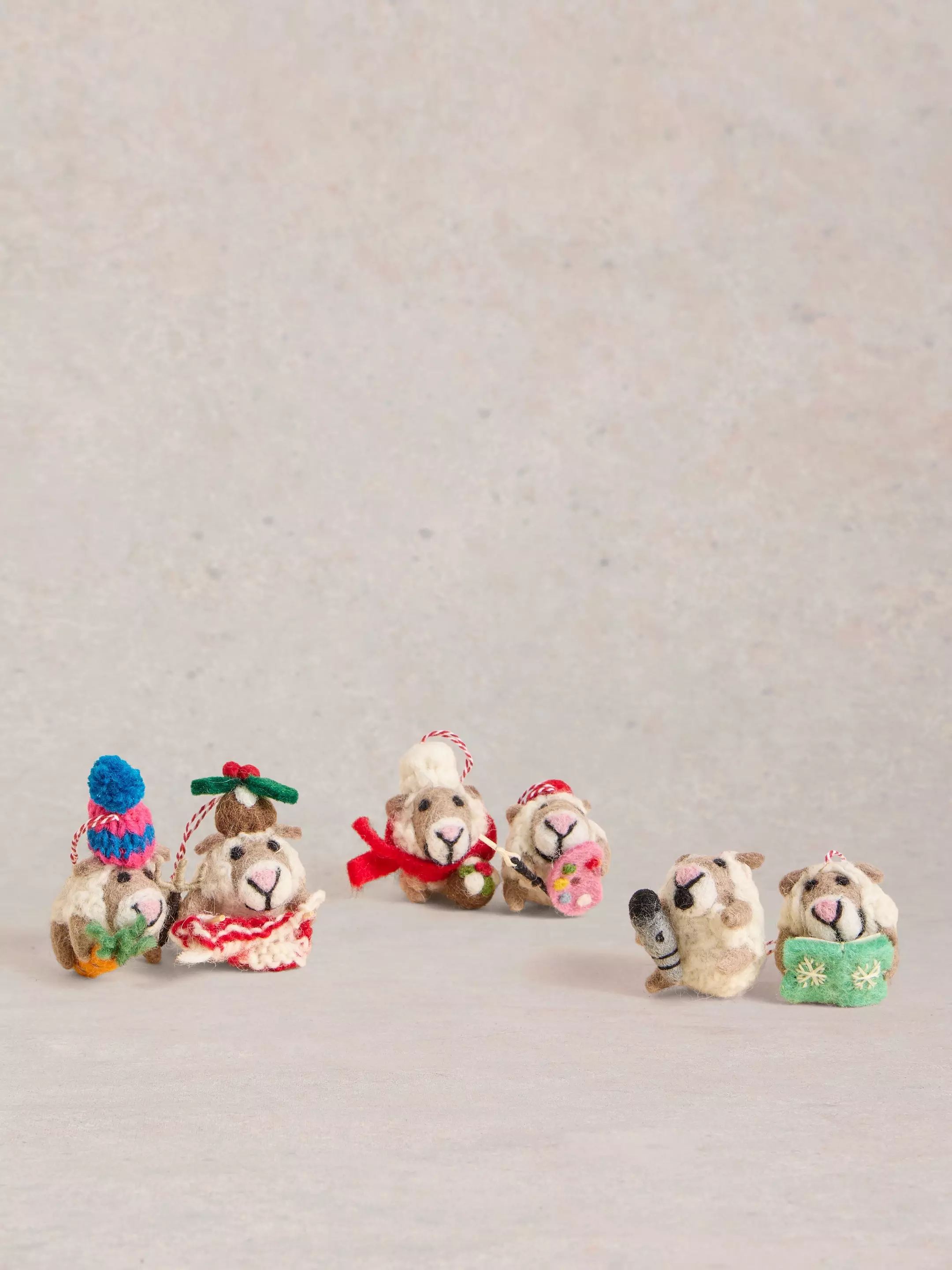 Hobby Sheep Egg Box 3 Hobby Sheep Egg Box