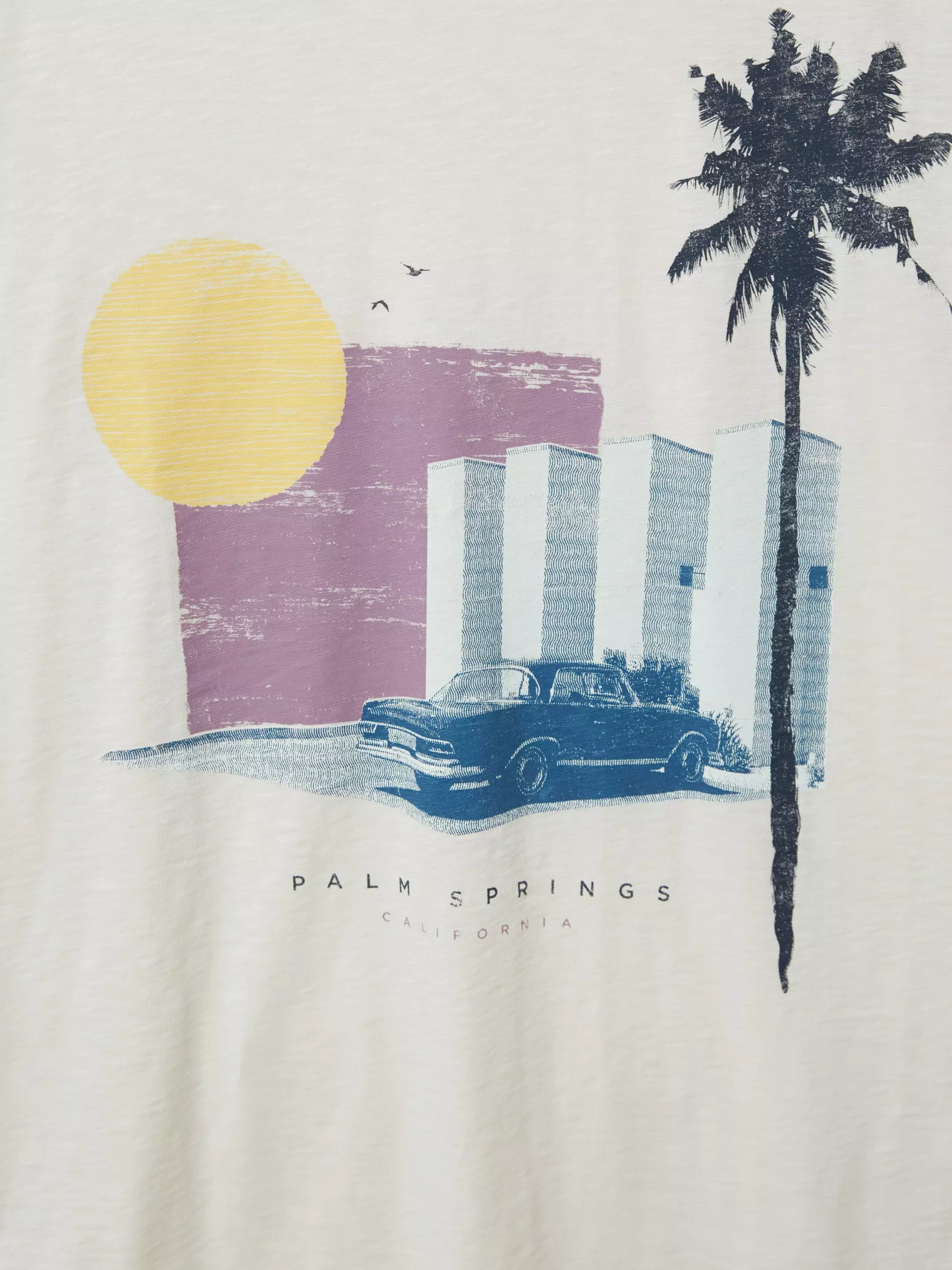 Palm Springs Graphic Tee 7 Palm Springs Graphic Tee